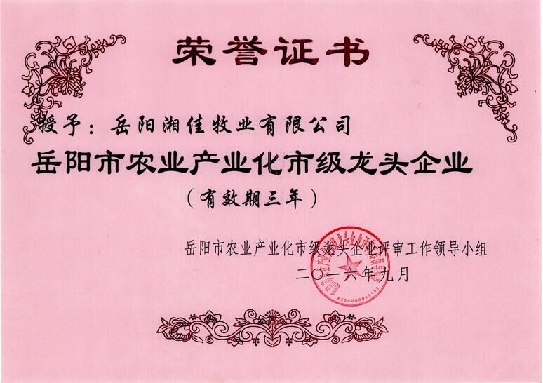 荣誉证书